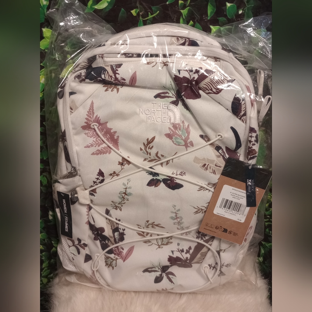 The North face backpack